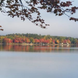 Meet your Posher, Deanna